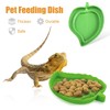 Hi.FANCY Leaf-Shaped Plastic Reptile Feeding Dish, 2 Sizes, Easy to