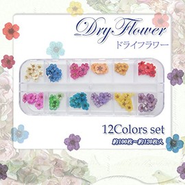 Looks like it's a Super Cute Be ♪♪【 Dried Flower High Quality Flower Set of 12 (Natural Flowers Use)] neirurezina-to For Bulk Pack of 100120 