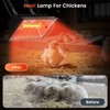 HEYOUTH Heat Lamp Chickens, Red Light Lamp Heat Lamp Chick