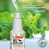 Mighty Mint Peppermint Oil Mouse Repellent Spray – Natural Indoor