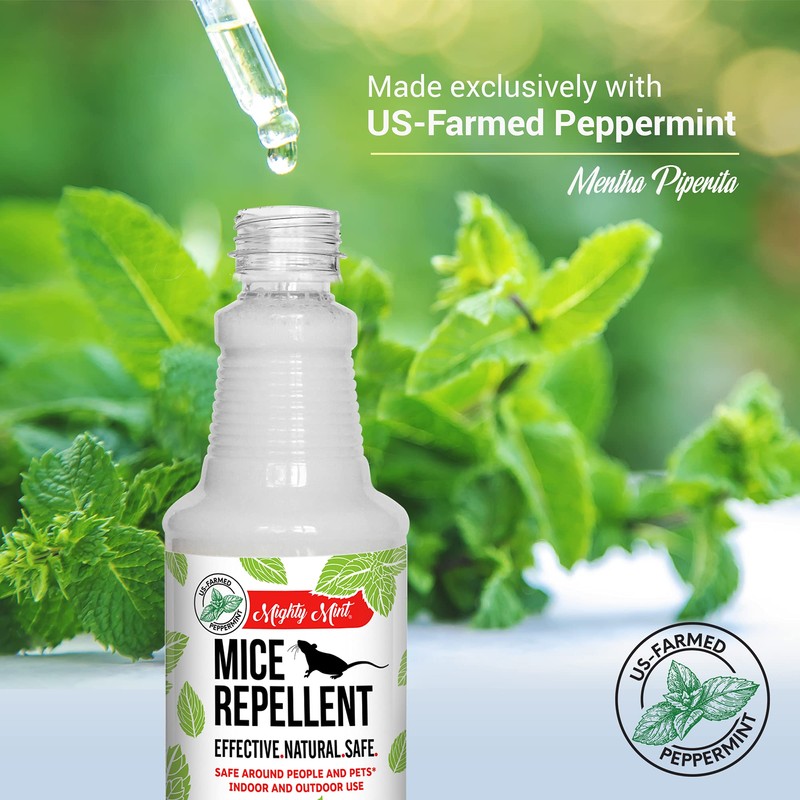 Mighty Mint Peppermint Oil Mouse Repellent Spray – Natural Indoor
