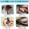LELEYO 指サック 犬 歯ブラシ 耳掃除 ポリエステル布製 360度清掃 猫 歯磨き 口臭ケア