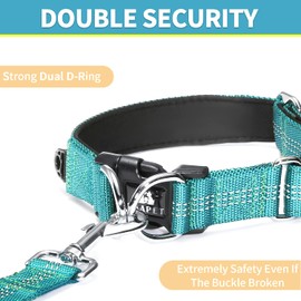 BAAPET Comfortable Dog Collar with Double Security Dual D-Ring and ID Tag Hanger for Small Puppy, Medium and Large Dogs (XS - 3/4" x (9"-13"), Teal)