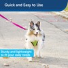PetSafe Nylon Dog Leash - Strong, Durable, Traditional Style Leash