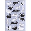 Jubilee Meow & Furever Cat Dishtowels Set of 1