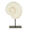 EEMKAY® New Stunning Resin Fossil Shell on Stand Sculpture Ornament