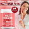 Purely Optimal Multi Collagen Peptides Powder | Types I, II,
