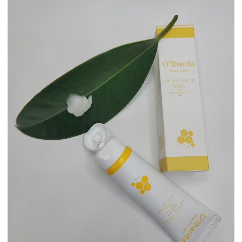 본사 올바르다 EGF 시카 판테놀 세라마이드 점뺀후관리 자생크림, 50g, 1개