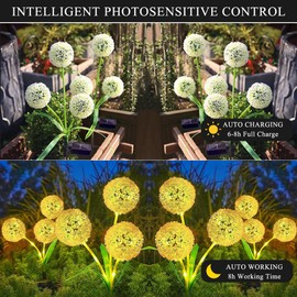 Solar Dandelion Lights Outdoor, 2 Pack 72 LED Waterproof Garden Lights with Auto On/Off, Stainless Steel Stem for Pathway Yard Flower Bed - Warm White
