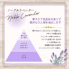加湿器の除菌タイム アロマ ノーブルラベンダーの香り 300mL