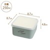 Sabu Tresova 416323 Food Container Square, S, Mint, Capacity: 8.5