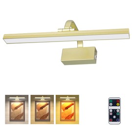 RAIFOOLLY Picture Lights for Wall, Battery Painting Light with Remote Dimmable and Timer, 3 Lighting Modes Art Display Light, Wall Decorative Lighting for Canvas, Portrait,Frame