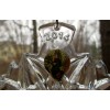 WATERFORD Crystal 2014 Snowflake Wishes Peace Christmas Ornament 4th Ed