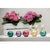 Heitmann Egg Colours Brilliant - Liquid Egg Colours with Shine