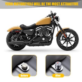 Sresk Motorcycle Fender Rear Seat Bolt Screw Nut Kit 1/4"-20 Thread for Harley Softail Dyna Fatbob Sportster CVO Touring Electra Glide Street Glide1996-2025(Chrome 04)