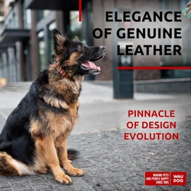 Dog Collars Classic 1 1/3" - 17-23" Brown