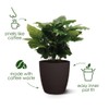 elho The Coffee Collection Round 22 cm - Indoor Flower