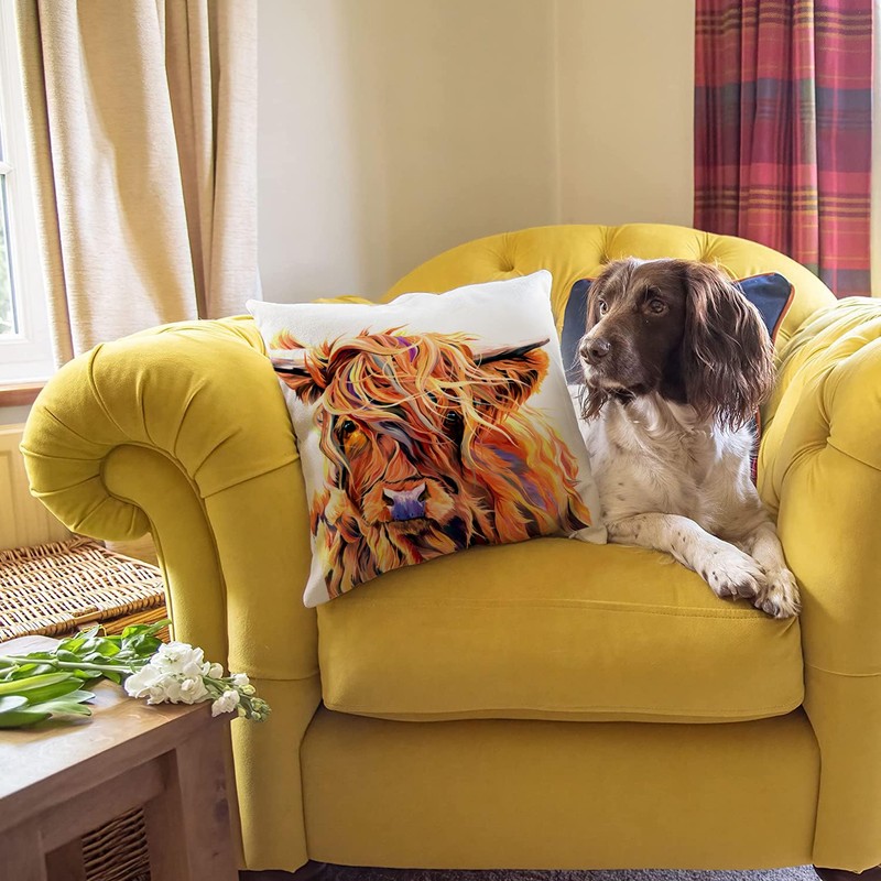 HUASHUZI Cushion Cover Highland Cow Gifts for Women Scottish Animal