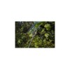 Tarp Parent Tarpaulin with Eyelets (2 x 3 m, Camo)