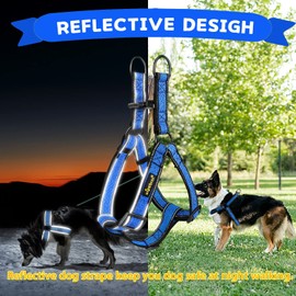 Xipebros Dog Harness,No Pull Dog Harness with Reflective Adjustable,Stops Pets from Pulling and Choking On Walks,Dog Harness for Large Dogs (Blue, XXL)