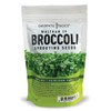 Broccoli Seeds for Sprouting Kit and Microgreens Non-GMO, Heirloom Bulk