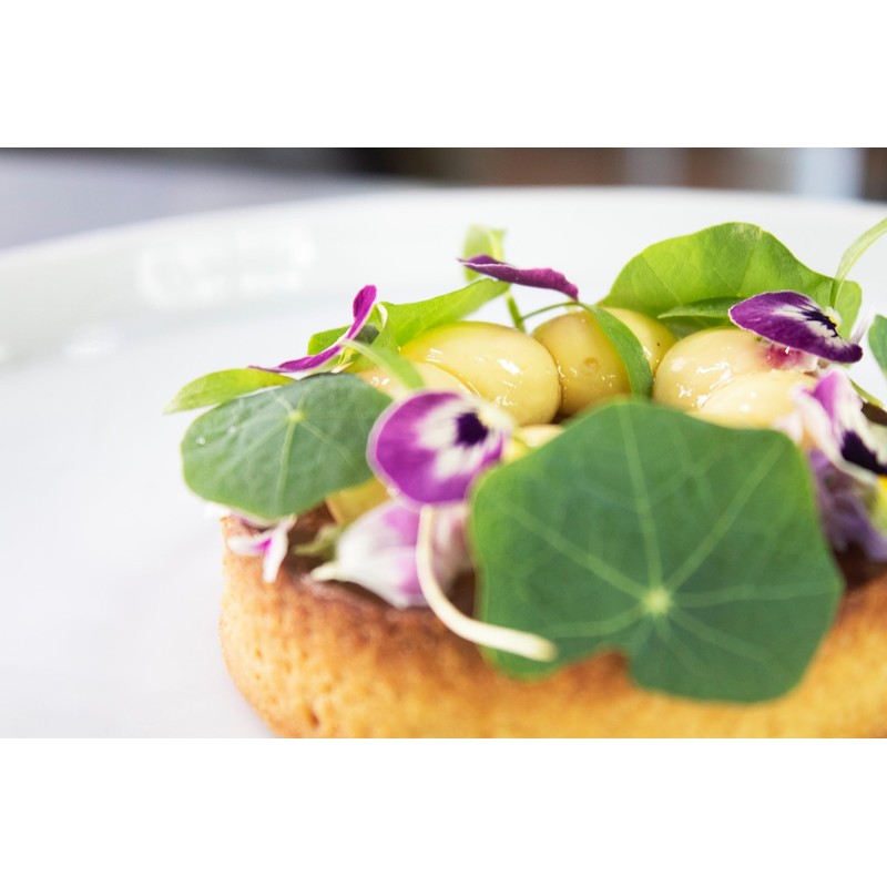 Lactato de Calcio (Glucus) 500 G Cocina Molecular