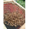 Soil Sifter, great for sifting soil, dirt, peat moss and