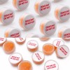 Wisesorb 2 Gram 110pcs Indicating Silica Gel Canister Capsules Packets