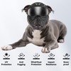 Enjoying Dog Goggles for Medium-Large Breeds, Full Face Protection, Anti-UV