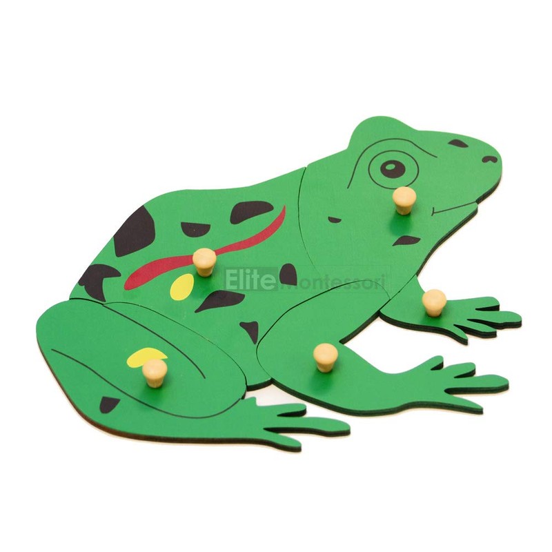 Elite Montessori Frog Puzzle