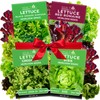 Lettuce Seeds for Planting, Red Romaine Lettuce, Bibb Butter Lettuce,