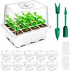 Ukipos Set de 10 Bandejas de Germinación de Semillas, Macetas