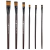 Bezavea 6 Piece Professional Nylon Paint Brush Set for Oil,