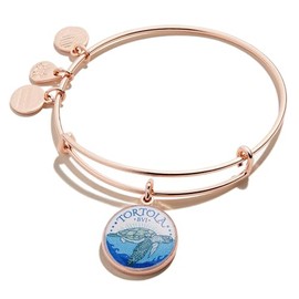 Alex and Ani A19EBTORTSR,Art Infusion, Tortola Expandable Bangle Bracelet,Shiny Rose Gold,Multi, Bracelets, One Size, Brass, No Gemstone