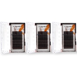 3 Trays 12 Rows Eyelash Extensions Supplies, YY-Lash Crisscross Eye Lashes, Volume Fanned Cluster Faux Mink, Premade 4D Easy Fan Lashes, 0.07-C, 9mm-15mm Mix, YY/Caramel