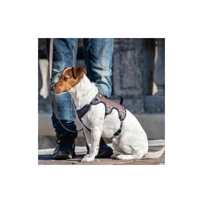 Ferplast Ergotrekking Harness, small, Black