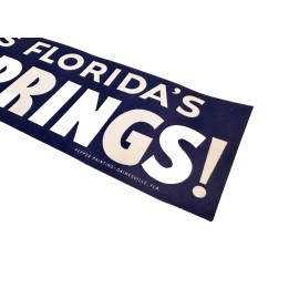 Don't Miss Florida's Silver Springs Vintage Bumper Sticker  Vintage Car Route 66