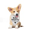 Dog Bandana Pregnancy Announcement Baby Security in Training Baby Announcement