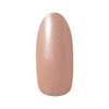 PRE GEL PG-CE569 Color Gel Color EX Pearl of Ready-P