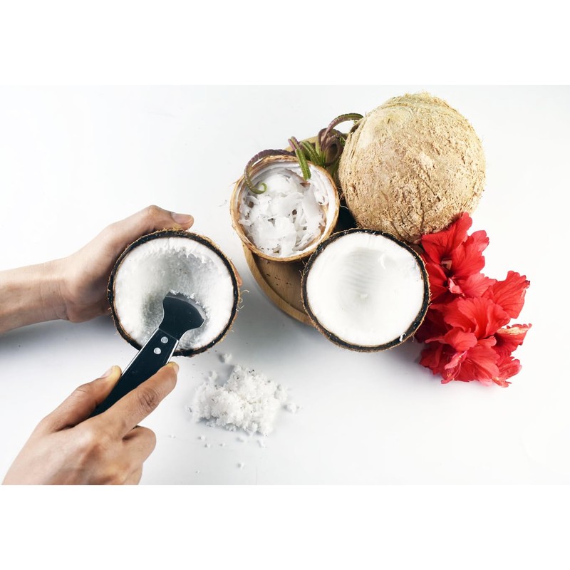 Small Size Handle Coconut Grater - Durable Sharp Stainless Steel