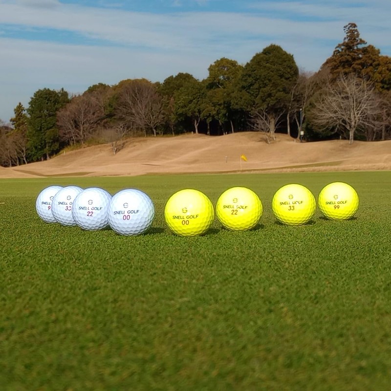 Snell Golf GET SUM 2024 Model 1 Dozen ★ Online