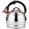 Tea Kettle for Stove Top Whistling Teapot, 3.2Q Tea Pot