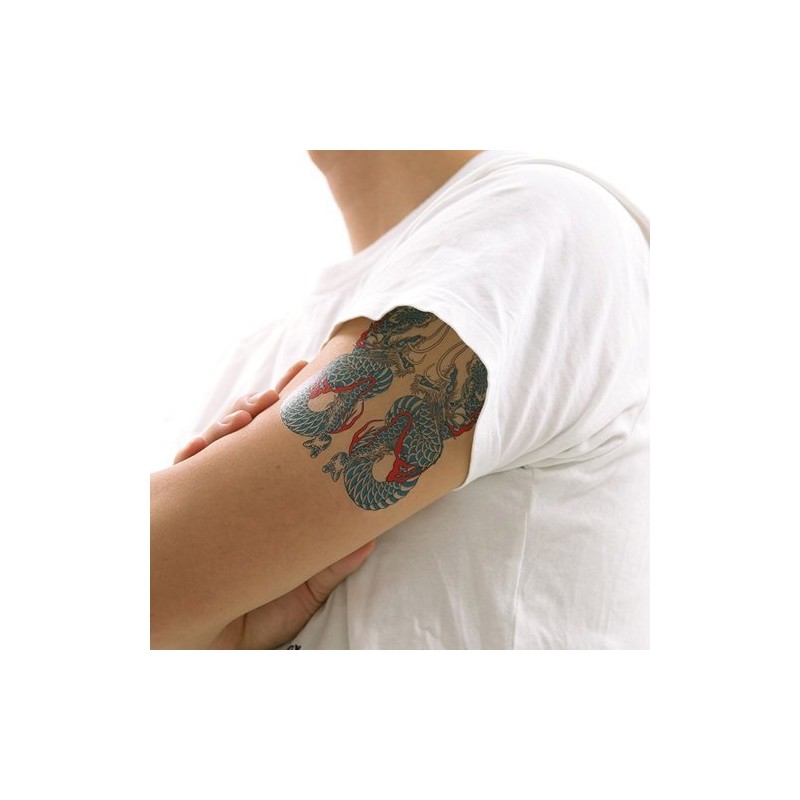 Festival Makeup R232, Dragons, Blue (17.5 cm x 10 cm)