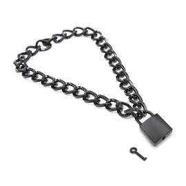 Succuba Padlock Necklace Metal Chain Collar Choker Heart Lock Necklace with Key and Box for Women, Men and Pet (16 to 22 Inches) (H, 20)
