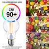Energetic Dimmable LED Filament Light Bulbs, 8W, 60 Watt Equivalent,