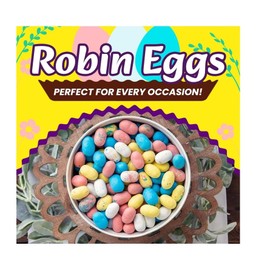 WhoppersRobinEggs Easter Candy, Malted Milk Balls in Speckled Pastel Shells, 13 Ounces - (1- Pack)