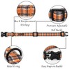 Lionet Paws Gird Dog Collar with Plastic Buckle, Cotton Fall