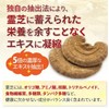 ラメール プレミアム 霊芝 サプリメント 国産霊芝 酪酸菌 β-Ｄグルカン配合 280mg 180粒 (約1カ月分)