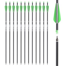 Yls Archery 26/28/30Inch Carbon Arrow Practice Hunting Arrows with100 Grain Removable Tips for Compound & Recurve Bow(Pack of 12) (26inch)