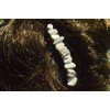 Tumbled White Howlite Stone Hair Combs (Quantity of 2)